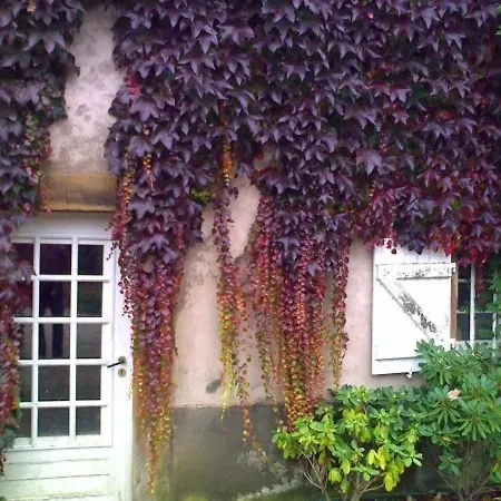 Charme Et Detente : Maison Avec Grand Parc, Cheminee Et Tennis, Proche D'epinal - Fr-1-589-499 * Aydoilles