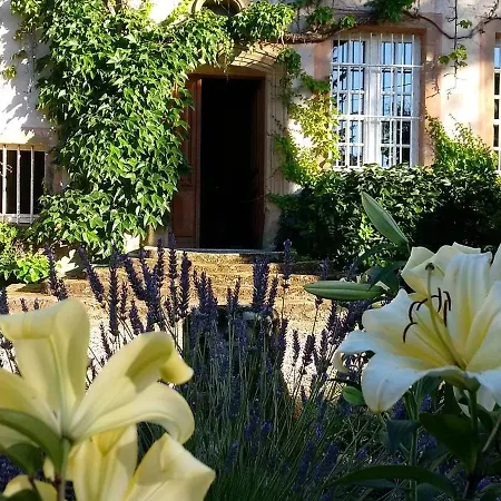 Charme Et Detente : Maison Avec Grand Parc, Cheminee Et Tennis, Proche D'epinal - Fr-1-589-499 Aydoilles